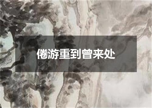 倦游重到曾来处