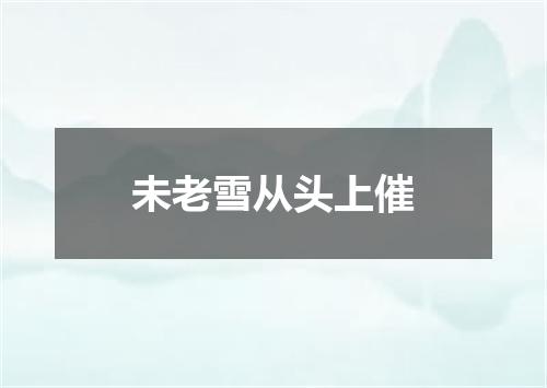 未老雪从头上催