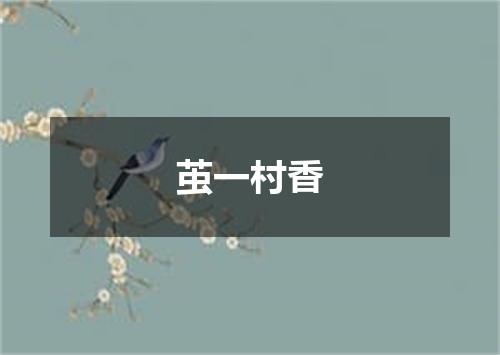 茧一村香