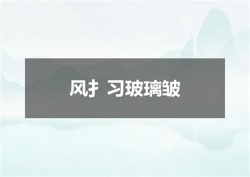 风扌习玻璃皱