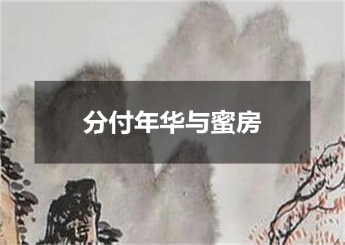 分付年华与蜜房