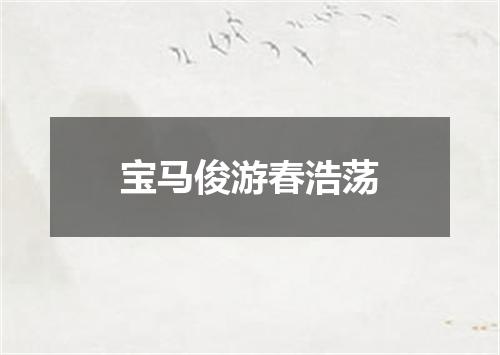 宝马俊游春浩荡