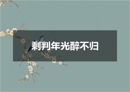 剩判年光醉不归