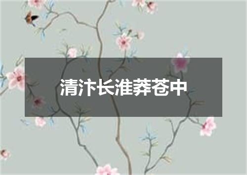 清汴长淮莽苍中