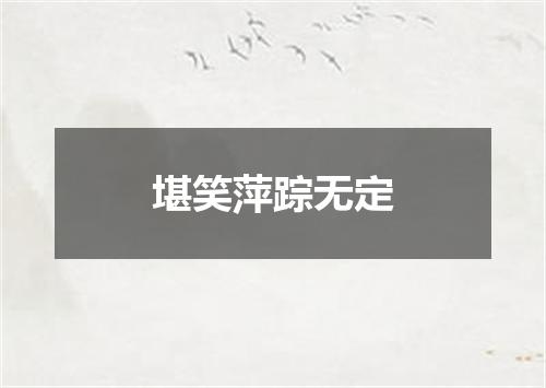 堪笑萍踪无定