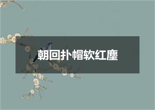 朝回扑帽软红麈