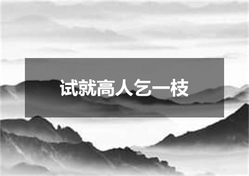 试就高人乞一枝