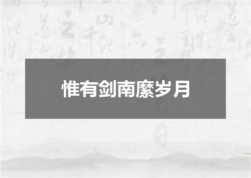 惟有剑南縻岁月