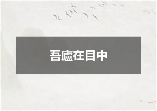 吾廬在目中