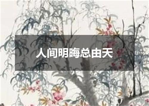 人间明晦总由天
