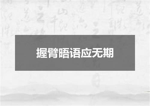 握臂晤语应无期