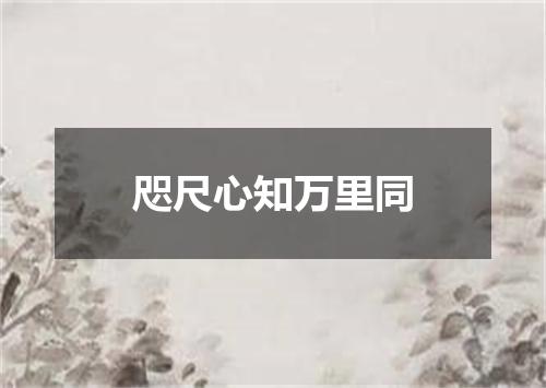 咫尺心知万里同