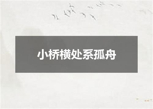 小桥横处系孤舟