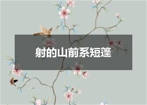射的山前系短篷
