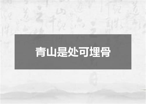 青山是处可埋骨