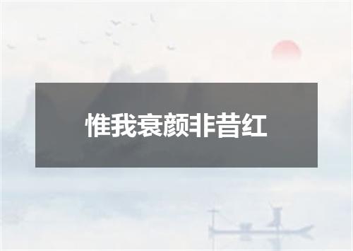 惟我衰颜非昔红