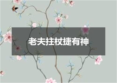 老夫拄杖捷有神
