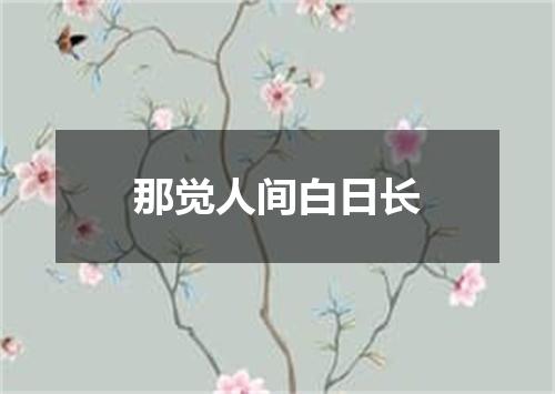 那觉人间白日长