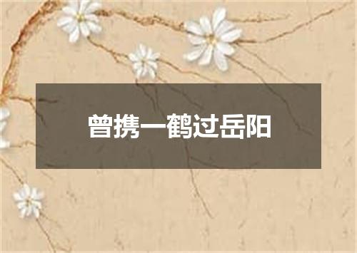 曾携一鹤过岳阳