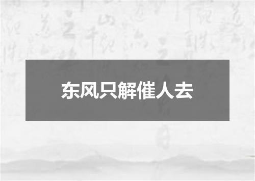 东风只解催人去