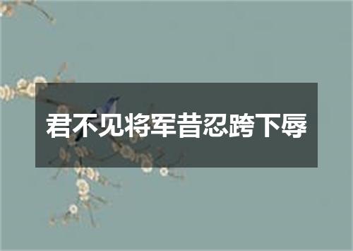 君不见将军昔忍跨下辱