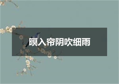 暝入帘阴吹细雨
