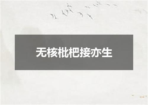 无核枇杷接亦生