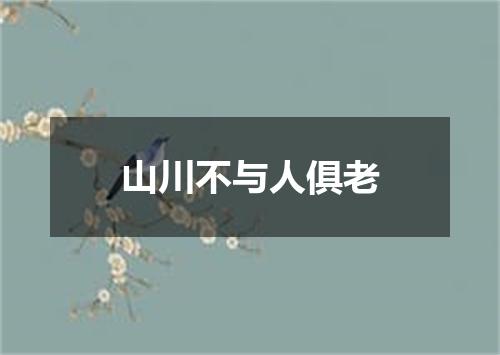 山川不与人俱老