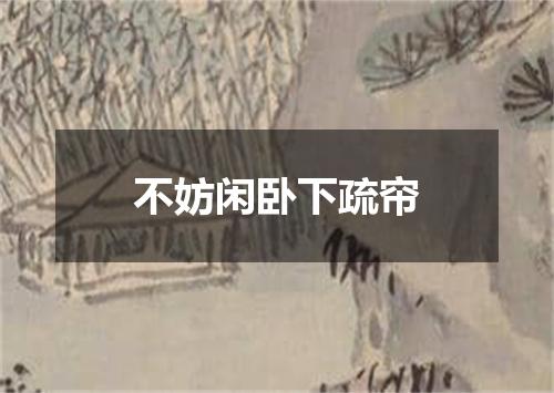 不妨闲卧下疏帘