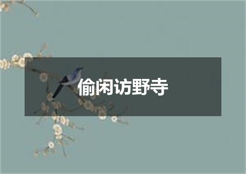 偷闲访野寺