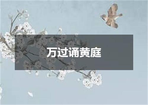 万过诵黄庭