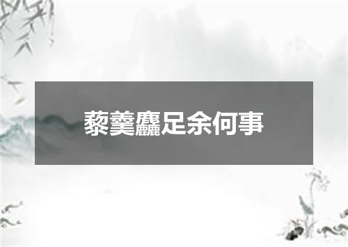 藜羹麤足余何事