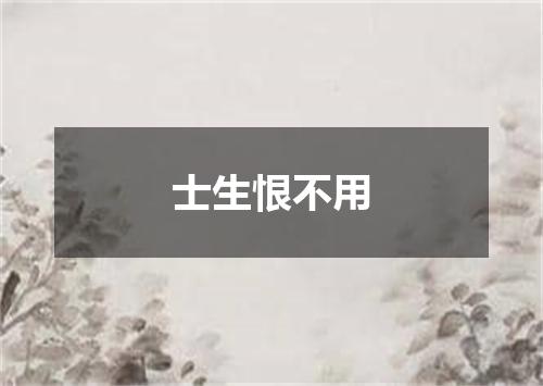士生恨不用