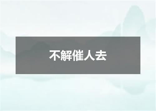 不解催人去