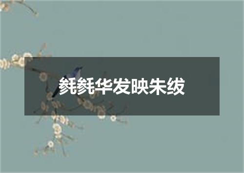 毵毵华发映朱绂