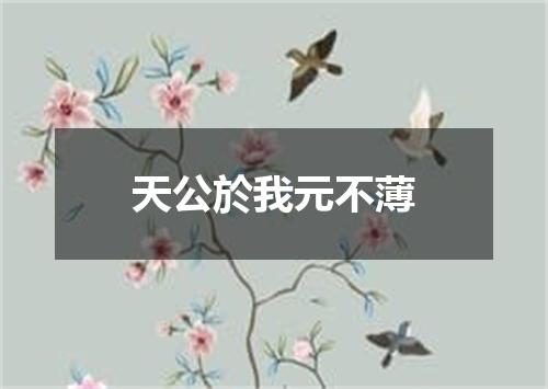 天公於我元不薄
