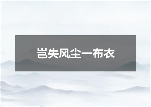 岂失风尘一布衣