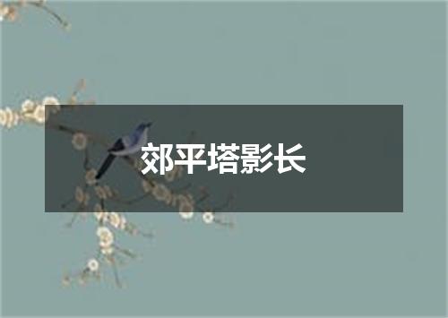 郊平塔影长