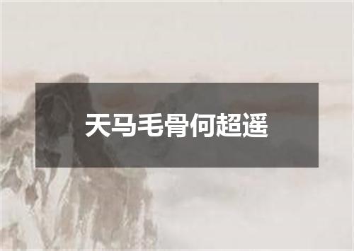 天马毛骨何超遥