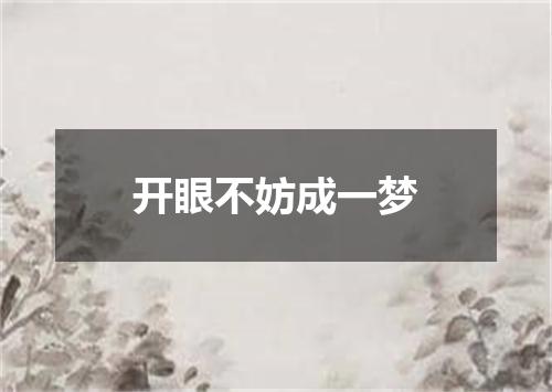 开眼不妨成一梦