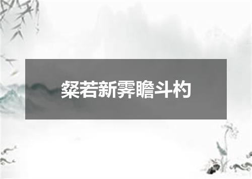 粲若新霁瞻斗杓