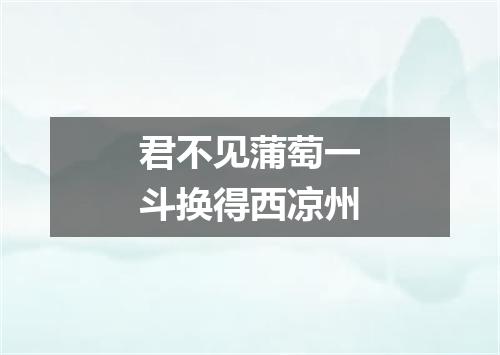 君不见蒲萄一斗换得西凉州