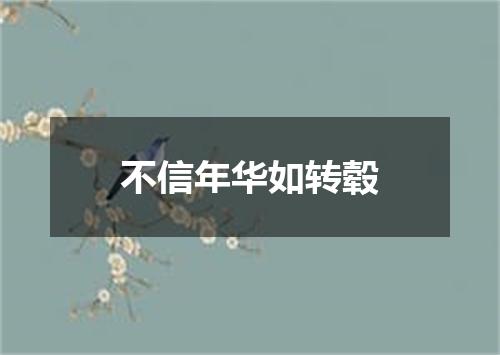 不信年华如转毂