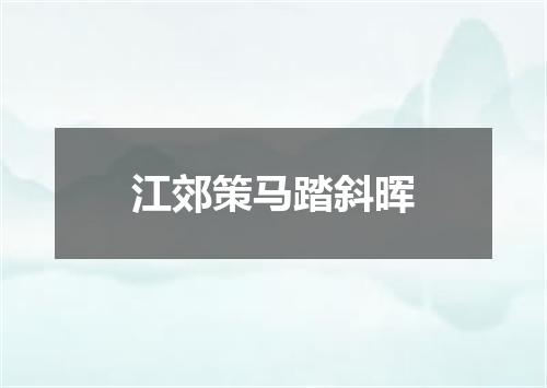 江郊策马踏斜晖