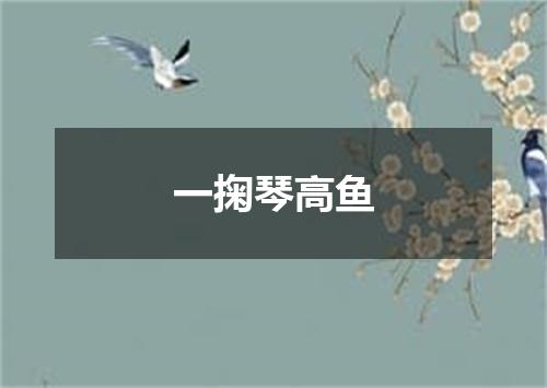一掬琴高鱼