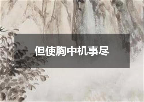 但使胸中机事尽