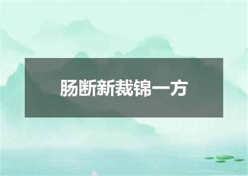 肠断新裁锦一方