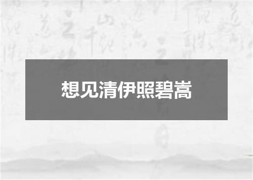 想见清伊照碧嵩