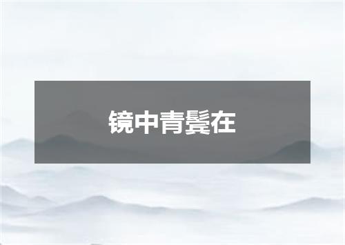 镜中青鬓在