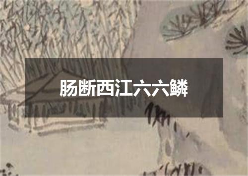 肠断西江六六鳞